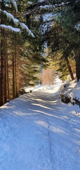 Residenza Sofia - Ponte Di Legno Fraz. Pezzo Villa ภายนอก รูปภาพ